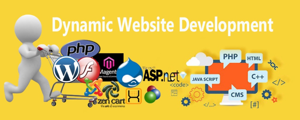 Service Provider of Dynamic Web Development